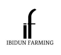logo-ibudun-300x234-1